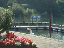 Швейцария.Small but Beautiful- Маленькая, но прекрасная.