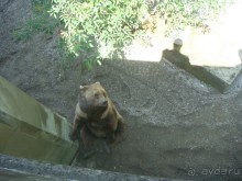 Швейцария.Small but Beautiful- Маленькая, но прекрасная.