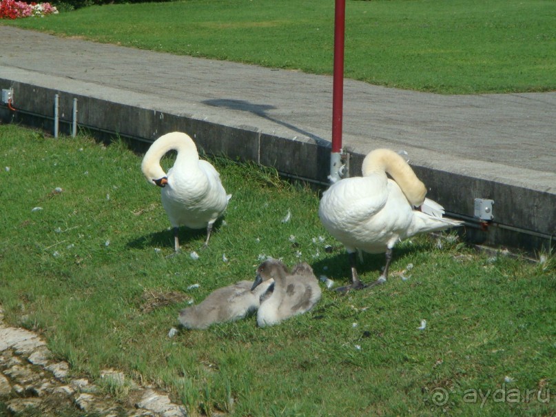 Швейцария.Small but Beautiful- Маленькая, но прекрасная.
