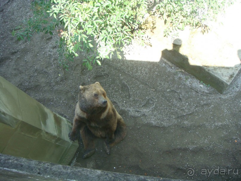 Швейцария.Small but Beautiful- Маленькая, но прекрасная.