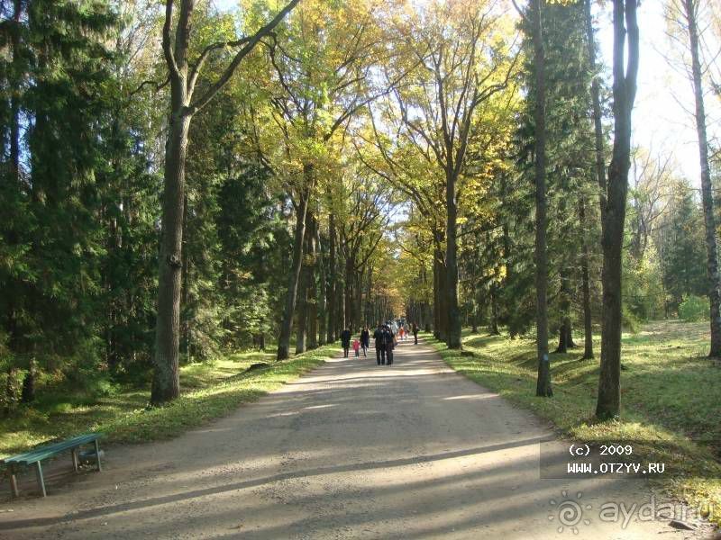 Пригороды Петербурга. Павловск - осеннее очарование.