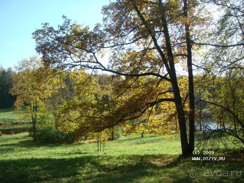 Пригороды Петербурга. Павловск - осеннее очарование.