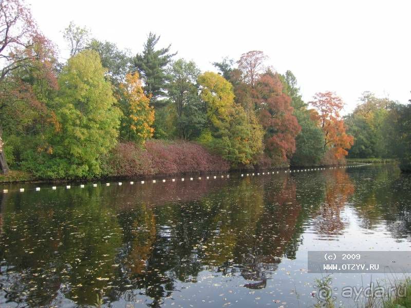 Пригороды Петербурга. Павловск - осеннее очарование.