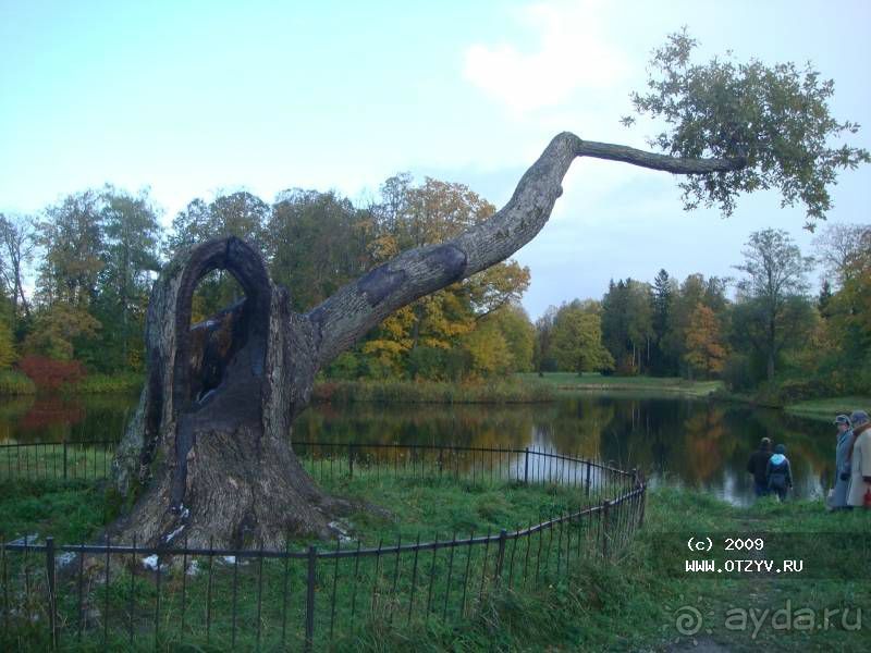 Пригороды Петербурга. Павловск - осеннее очарование.