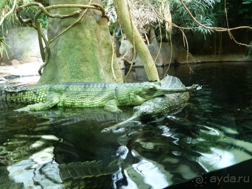 Прага. Парижско-венский город для российских туристов.