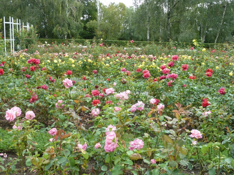 Прага. Парижско-венский город для российских туристов.