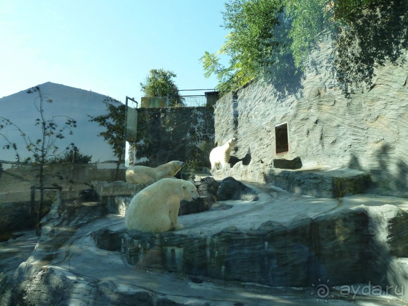 Прага. Парижско-венский город для российских туристов.