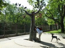 Кронштадт. На остров посуху или Провинция в 40 километрах от Петербурга