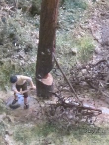 Петровская Акватория в Санкт-Петербурге - новый интерактивный макет