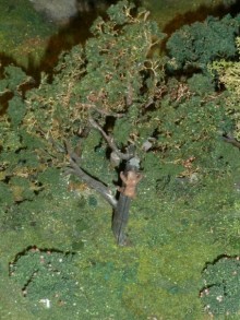 Петровская Акватория в Санкт-Петербурге - новый интерактивный макет