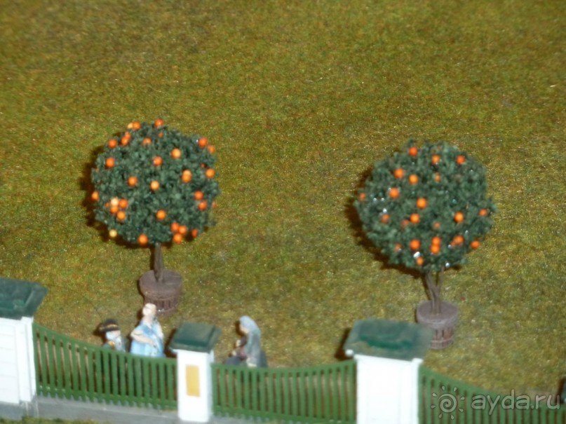 фото Петергофа