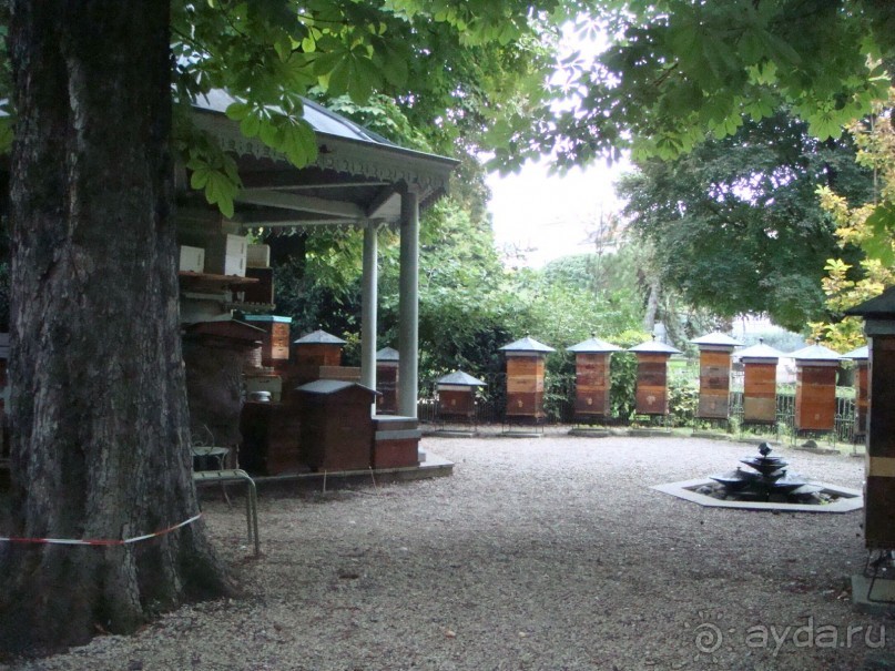 Альбом отзыва "В Париж с рабочим визитом."