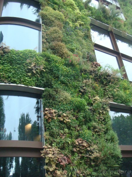 В Париж с рабочим визитом.