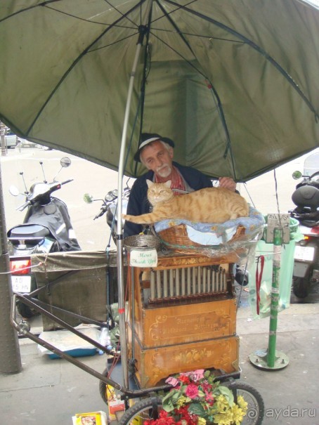 В Париж с рабочим визитом.