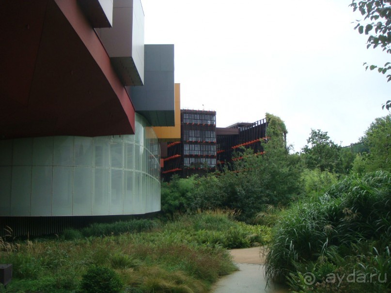 В Париж с рабочим визитом.