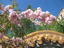 Императорские сады России в Санкт-Петербурге. Цветочная столица.