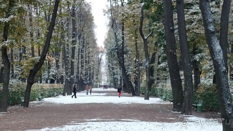 Императорские сады России в Санкт-Петербурге. Цветочная столица.