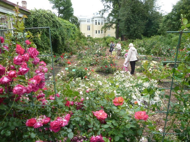Императорские сады России в Санкт-Петербурге. Цветочная столица.