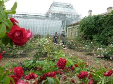 Императорские сады России в Санкт-Петербурге. Цветочная столица.