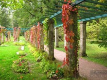 Императорские сады России в Санкт-Петербурге. Цветочная столица.