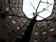 Императорские сады России в Санкт-Петербурге. Цветочная столица.