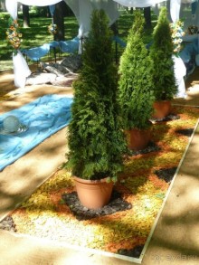 Императорские сады России в Санкт-Петербурге. Цветочная столица.