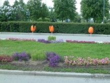 Императорские сады России в Санкт-Петербурге. Цветочная столица.