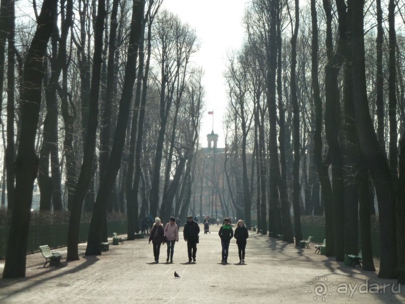 Императорские сады России в Санкт-Петербурге. Цветочная столица.