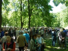 Императорские сады России в Санкт-Петербурге. Цветочная столица.