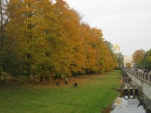 Альбом отзыва "Императорские сады России в Санкт-Петербурге. Цветочная столица."