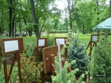 Императорские сады России в Санкт-Петербурге. Цветочная столица.