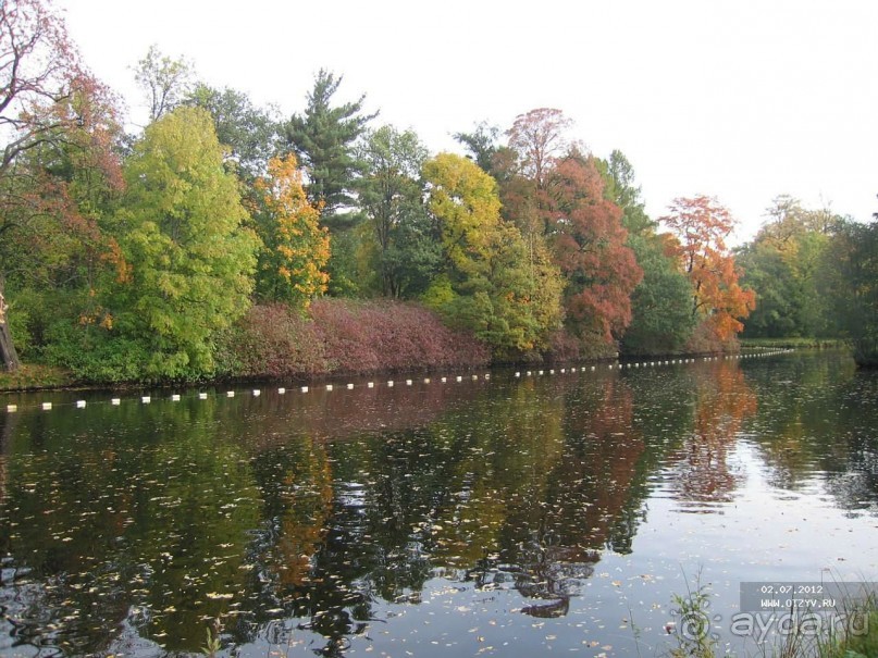 Императорские сады России в Санкт-Петербурге. Цветочная столица.