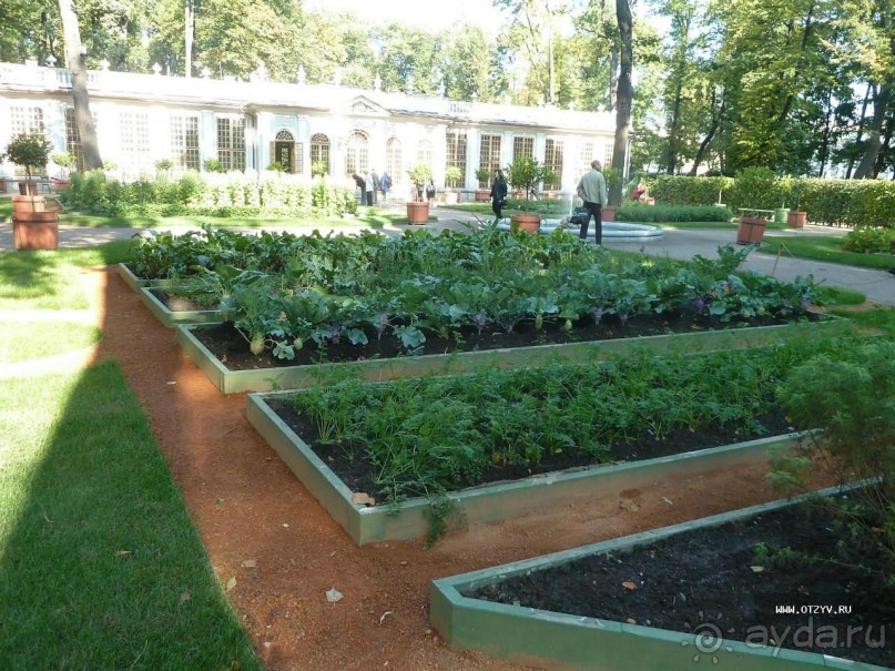 Императорские сады России в Санкт-Петербурге. Цветочная столица.