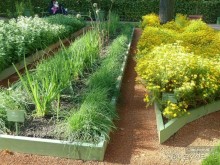 Императорские сады России в Санкт-Петербурге. Цветочная столица.