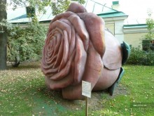 Императорские сады России в Санкт-Петербурге. Цветочная столица.