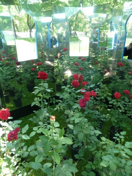 Императорские сады России в Санкт-Петербурге. Цветочная столица.