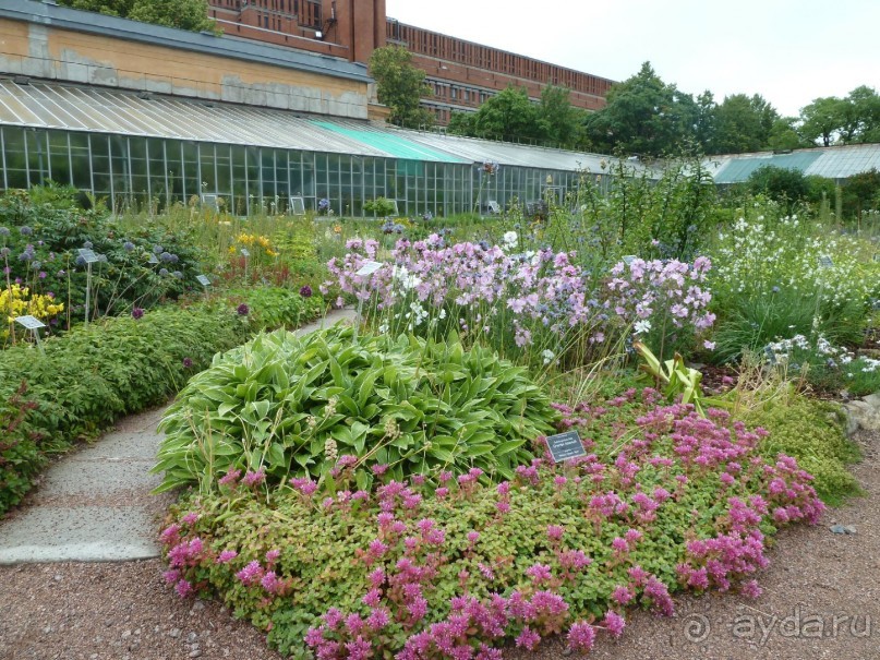 Императорские сады России в Санкт-Петербурге. Цветочная столица.