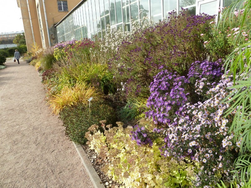 Императорские сады России в Санкт-Петербурге. Цветочная столица.