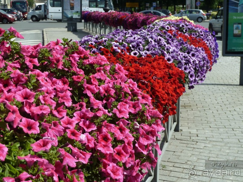 Императорские сады России в Санкт-Петербурге. Цветочная столица.