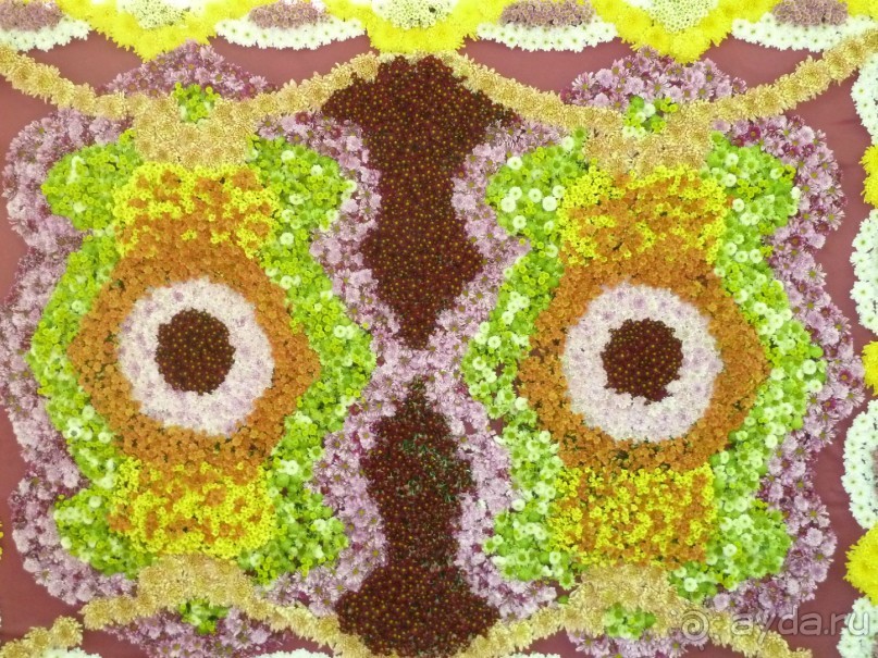 Императорские сады России в Санкт-Петербурге. Цветочная столица.