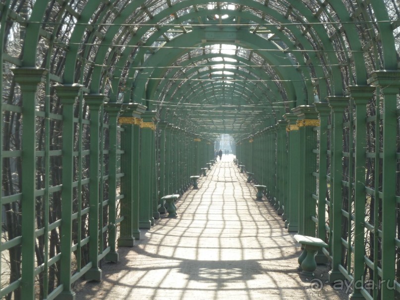 Императорские сады России в Санкт-Петербурге. Цветочная столица.