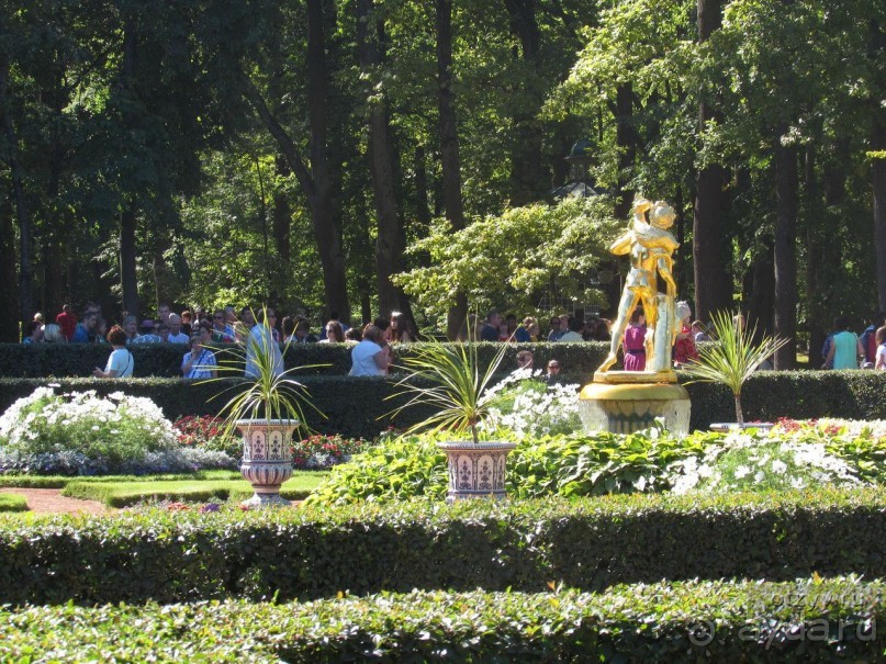 Императорские сады России в Санкт-Петербурге. Цветочная столица.