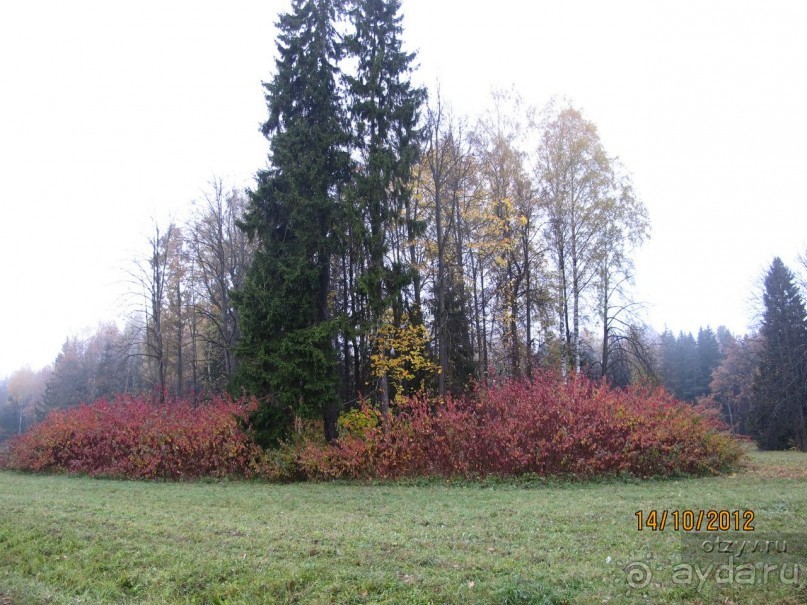 Императорские сады России в Санкт-Петербурге. Цветочная столица.