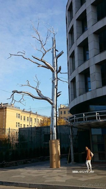 Императорские сады России в Санкт-Петербурге. Цветочная столица.