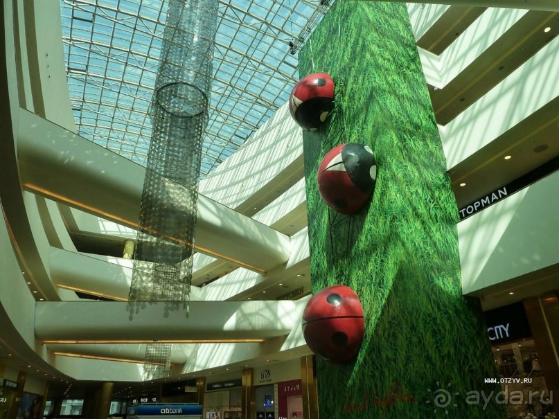 Императорские сады России в Санкт-Петербурге. Цветочная столица.