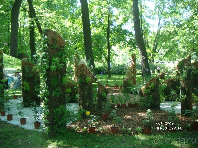 Императорские сады России в Санкт-Петербурге. Цветочная столица.