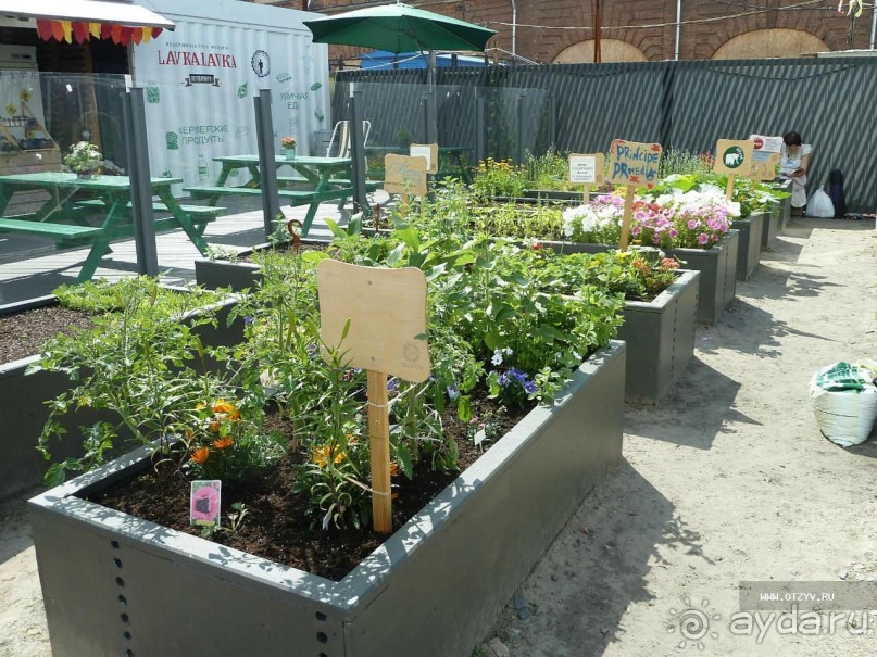 Императорские сады России в Санкт-Петербурге. Цветочная столица.