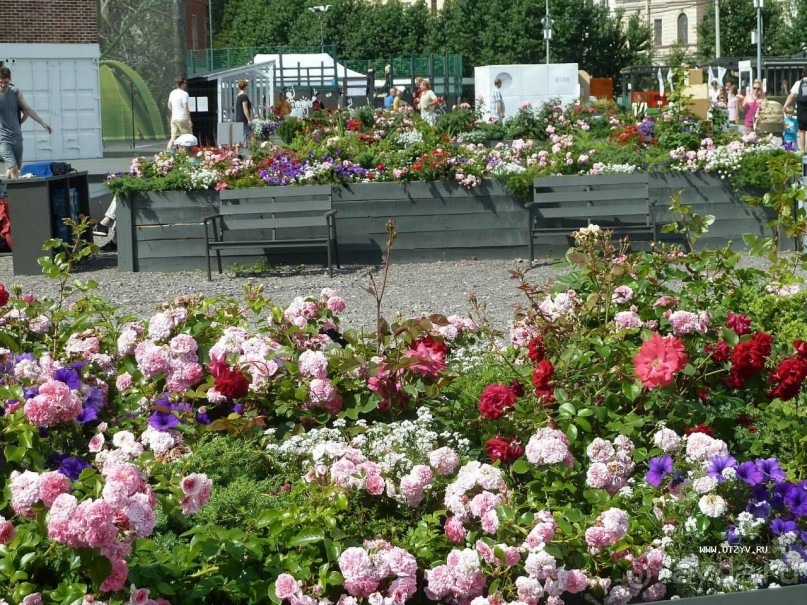 Императорские сады России в Санкт-Петербурге. Цветочная столица.