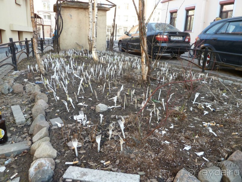 Императорские сады России в Санкт-Петербурге. Цветочная столица.