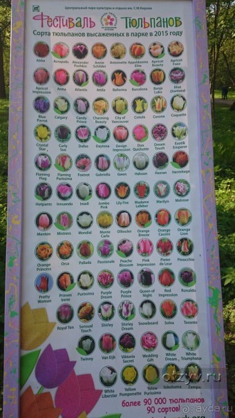 Императорские сады России в Санкт-Петербурге. Цветочная столица.